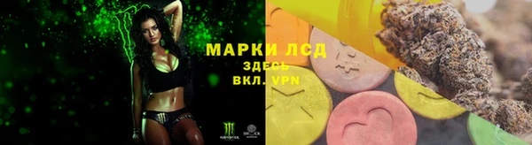 спиды Белокуриха