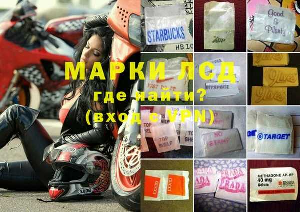 спиды Белокуриха
